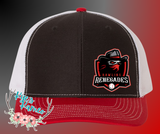 Renegades DTF Baseball Caps- 112